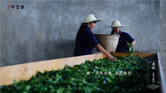 中吉號(hào)昔歸茶園