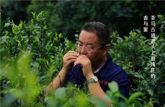 中吉號麻黑茶