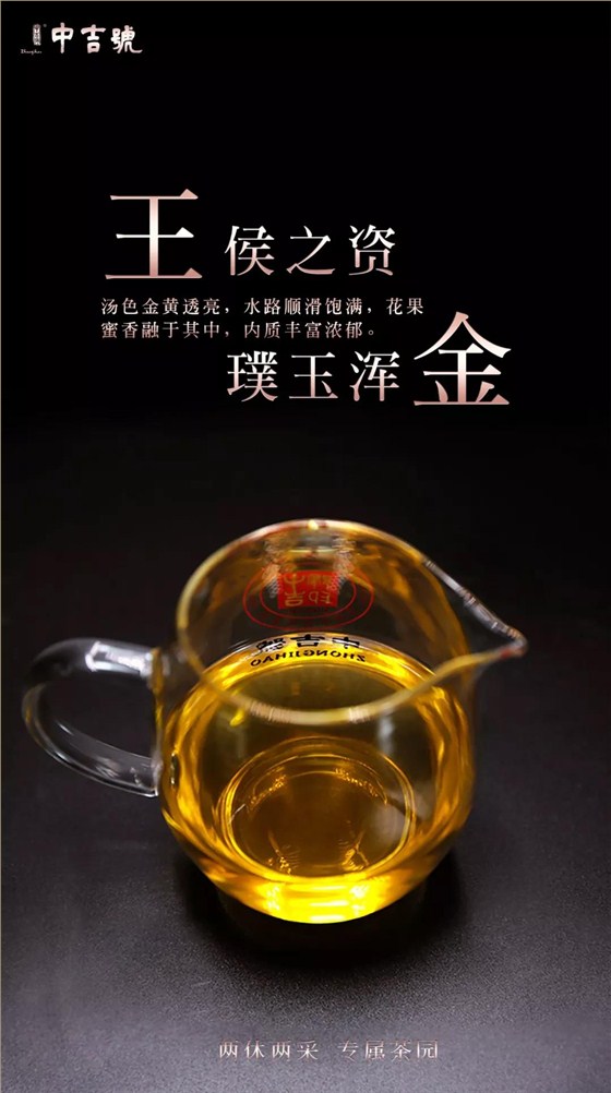 班盆普洱茶價(jià)格