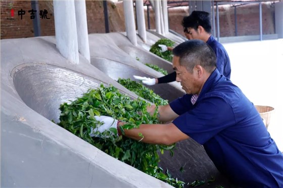 中吉號老班章普洱茶