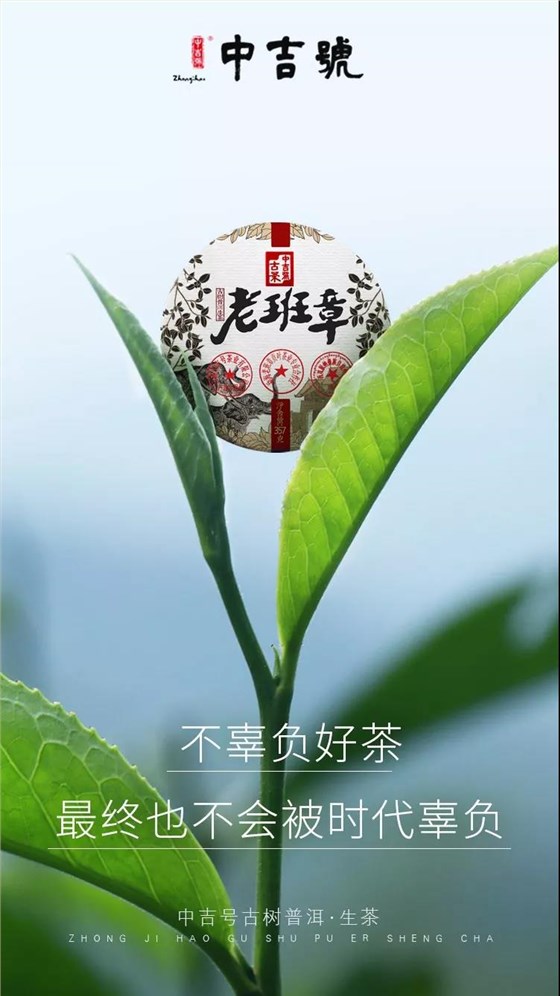 中吉號老班章普洱茶