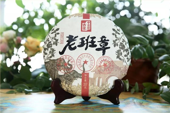 中國(guó)茶葉博覽會(huì)