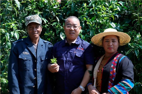 中吉號老班章普洱茶