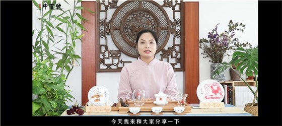 中吉號茶堂：如何分辨普洱熟茶和生茶？