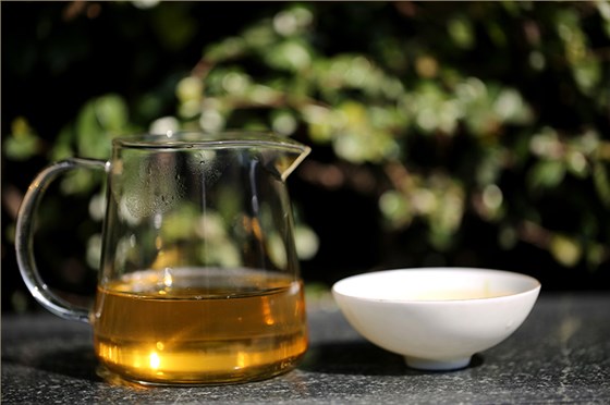 中吉號(hào)茶堂：什么季節(jié)采摘的云南普洱茶品質(zhì)最好？