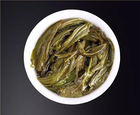 中吉號(hào)古樹(shù)茶 - 金象十年2017