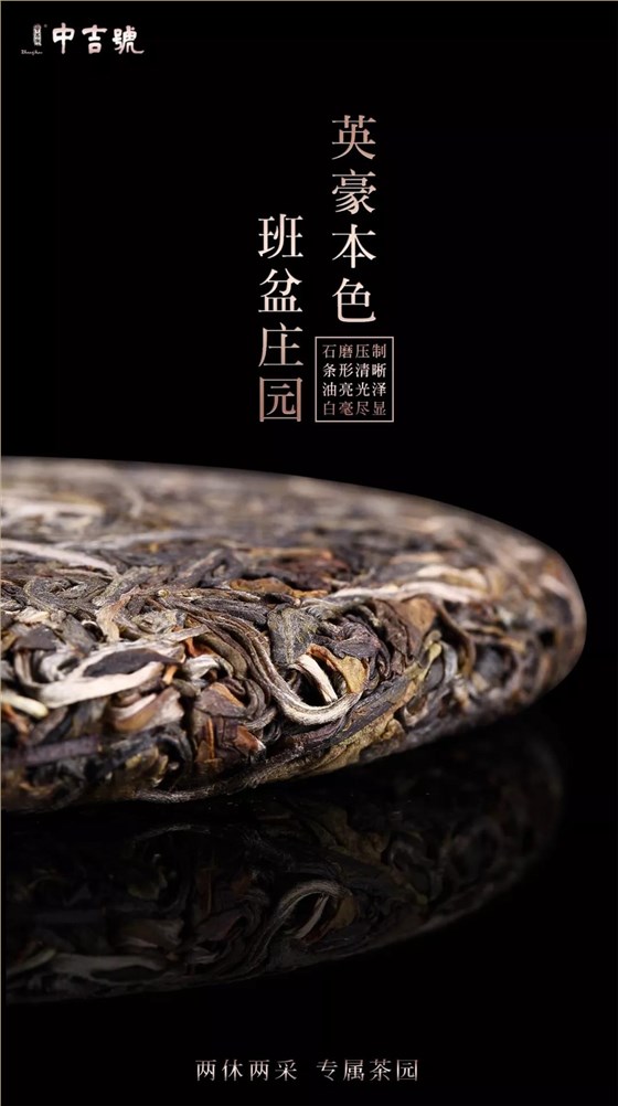 普洱茶價(jià)格表