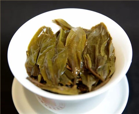 中吉號(hào)古樹(shù)茶 - 昔歸2020