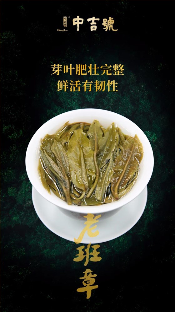 中吉號(hào)老班章