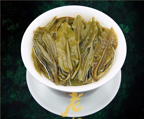 中吉號(hào)古樹(shù)茶 - 老班章2020