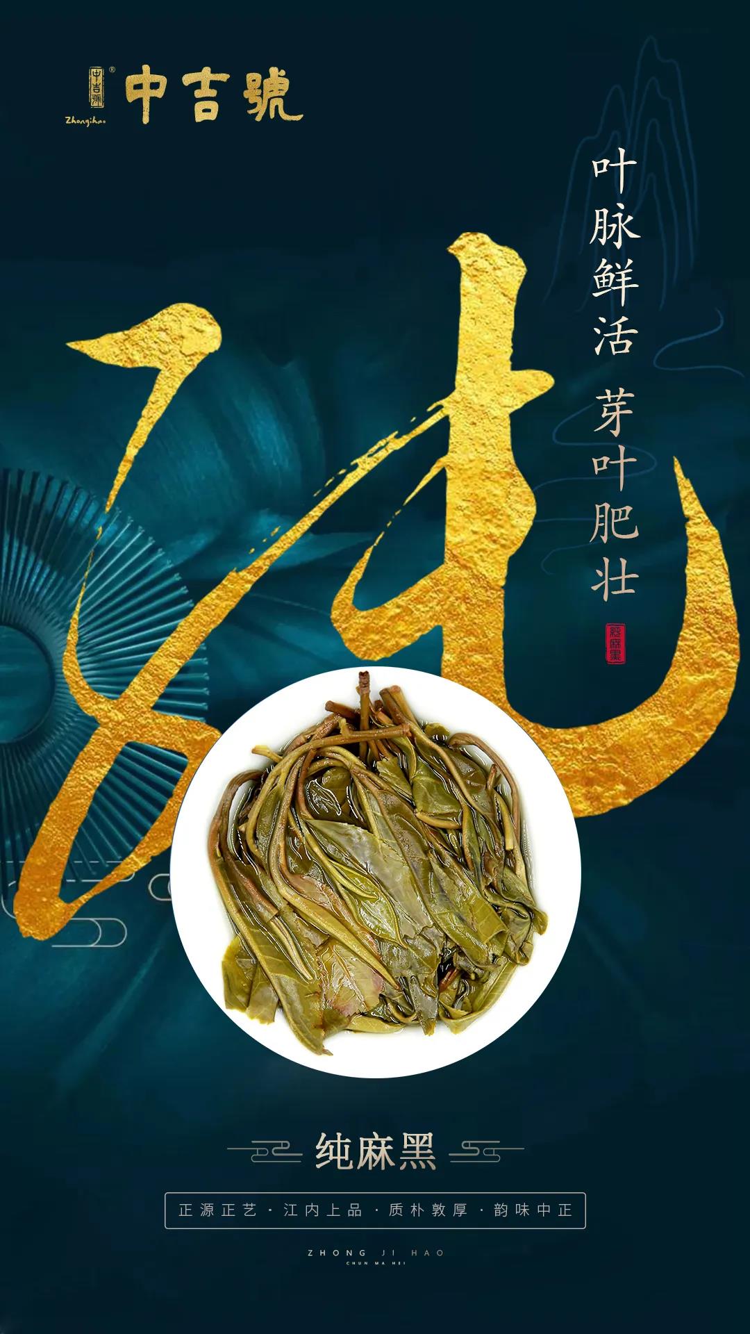 中吉號純麻黑普洱茶