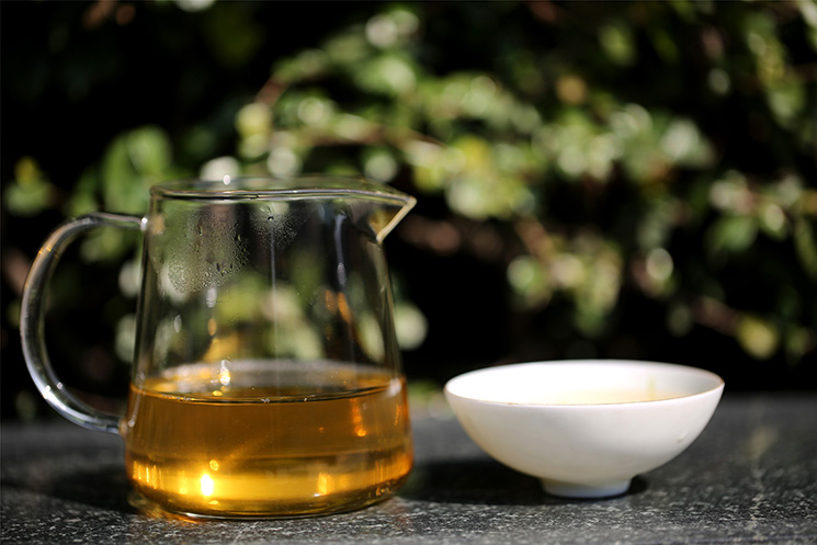 中吉號(hào)茶堂：什么季節(jié)采摘的云南普洱茶品質(zhì)最好？