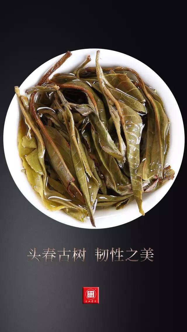 中吉號老班章