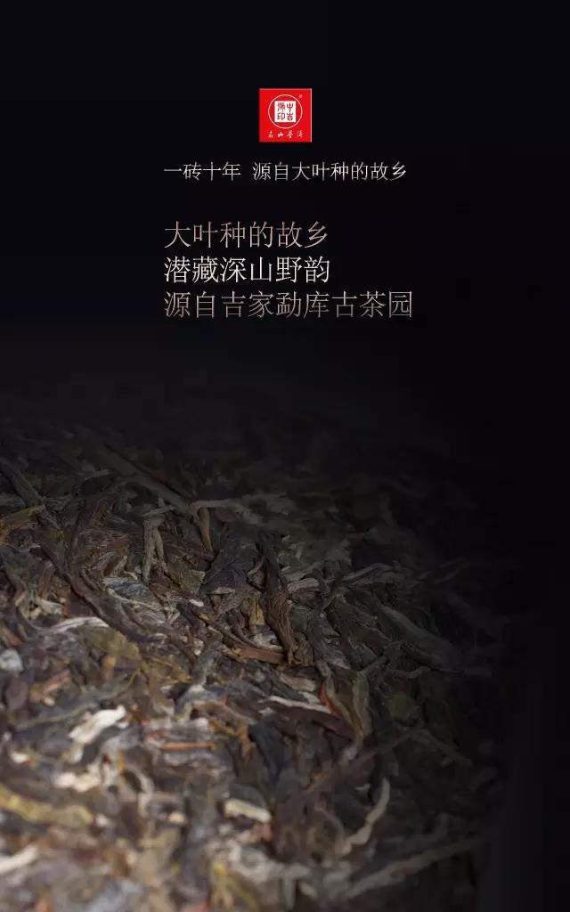 中吉號(hào)古樹(shù)茶