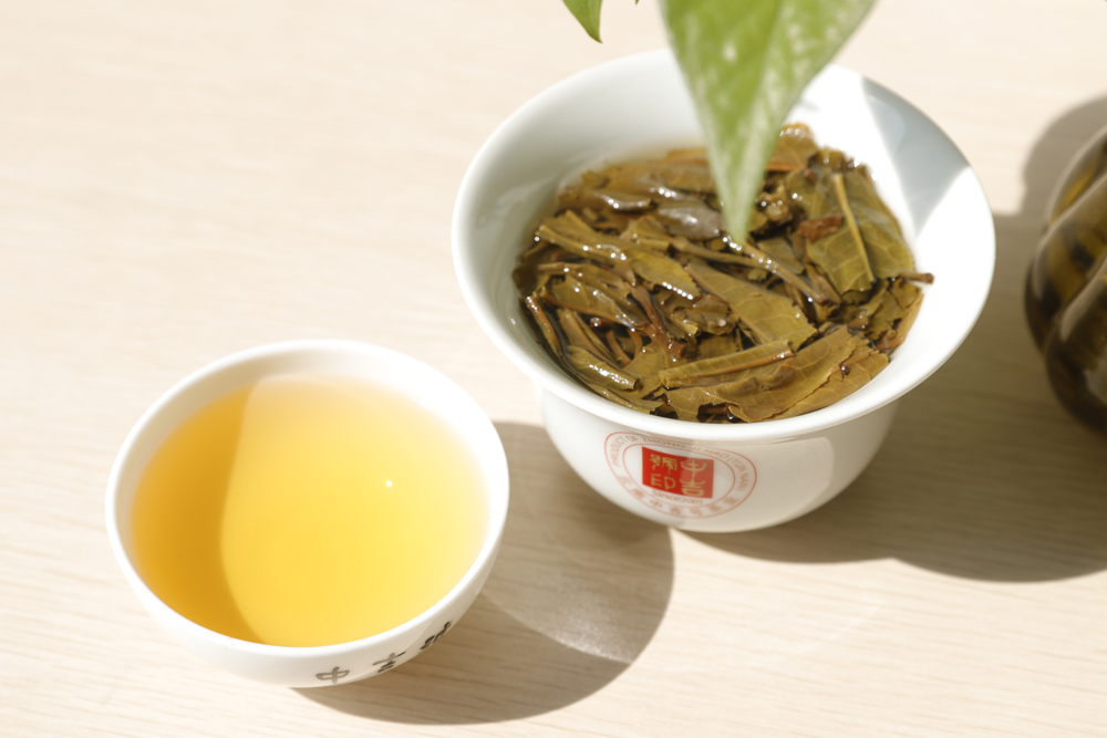 中吉號(hào)多福普洱茶