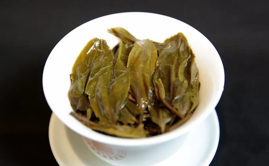 昔歸普洱茶