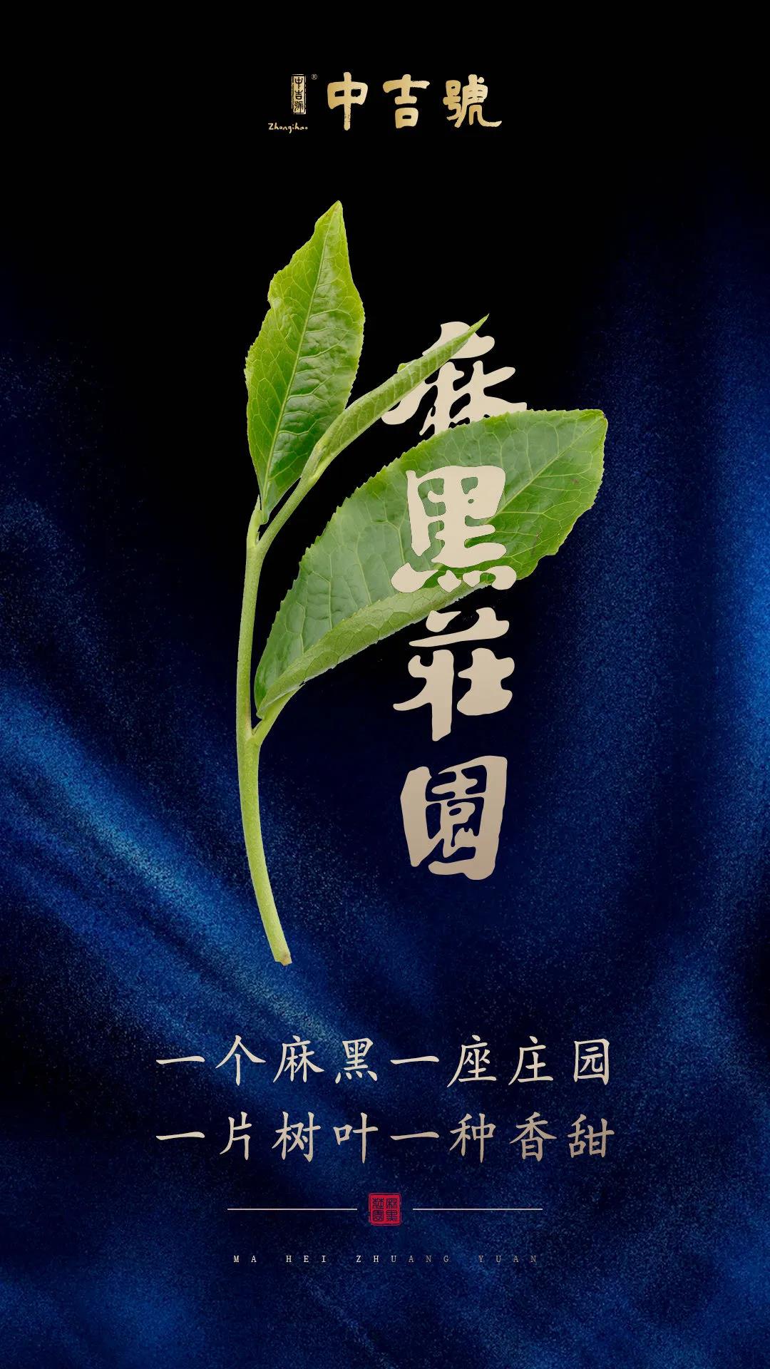 中吉號麻黑莊園普洱茶